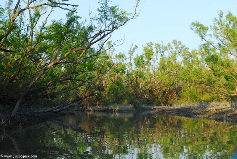 Bangladesh_Sundarbans_055.jpg