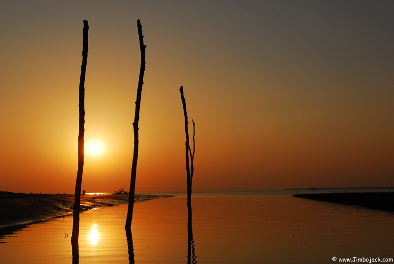 Bangladesh_Sundarbans_059.jpg