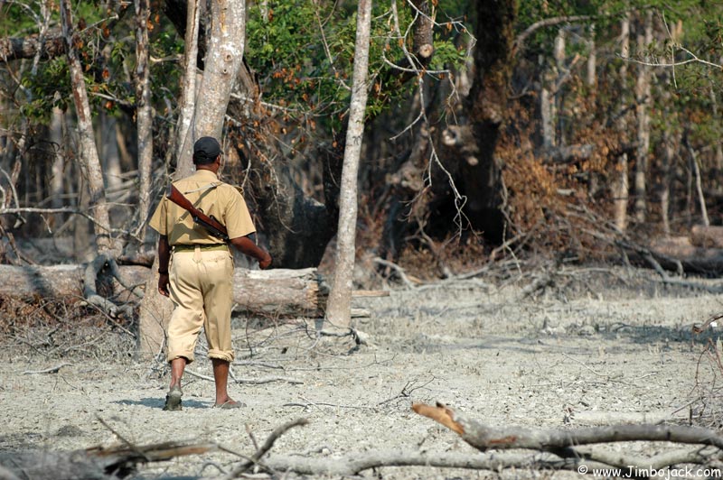 Bangladesh_Sundarbans_073.jpg