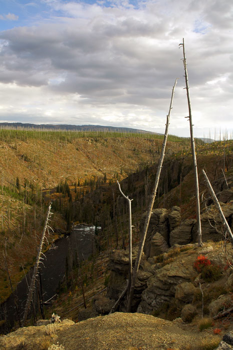 Yellowstone_NP_001