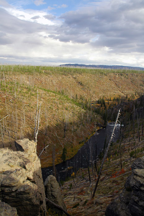 Yellowstone_NP_003