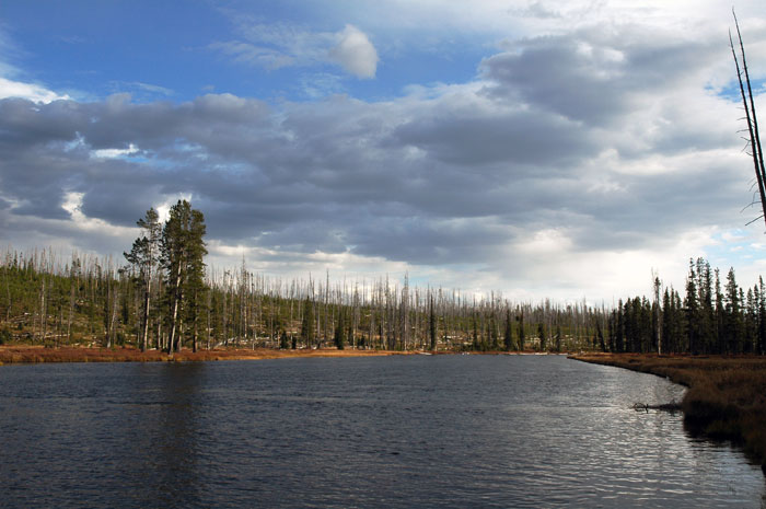 Yellowstone_NP_004