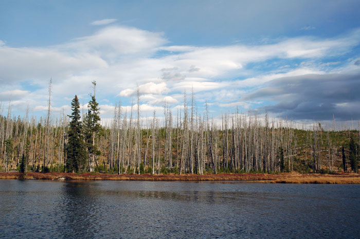 Yellowstone_NP_005