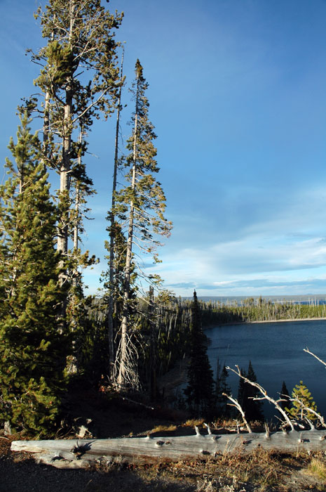 Yellowstone_NP_010