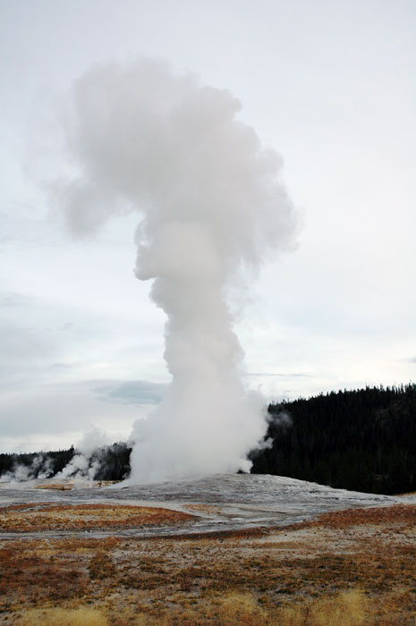 Yellowstone_NP_027