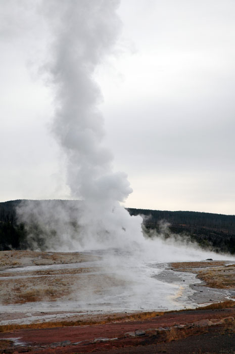 Yellowstone_NP_031