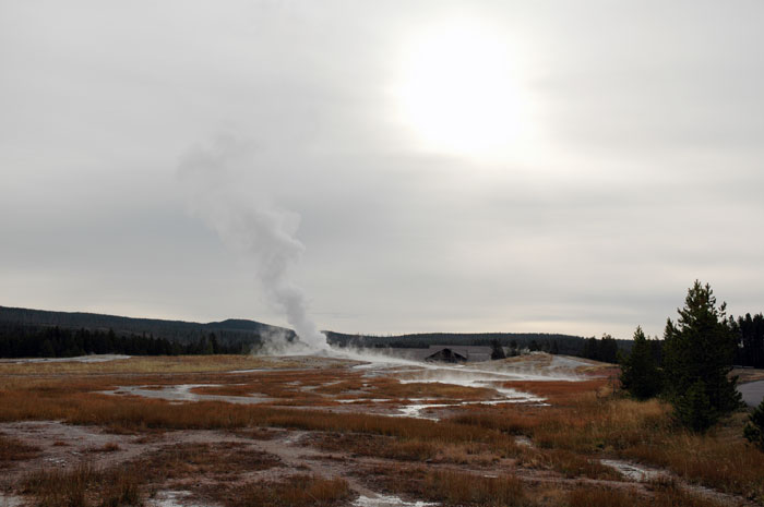 Yellowstone_NP_032