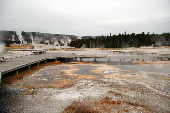 Yellowstone_NP_041