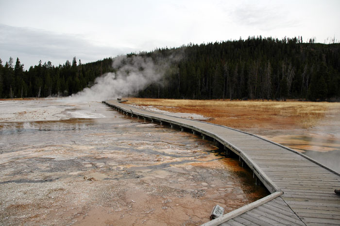 Yellowstone_NP_042