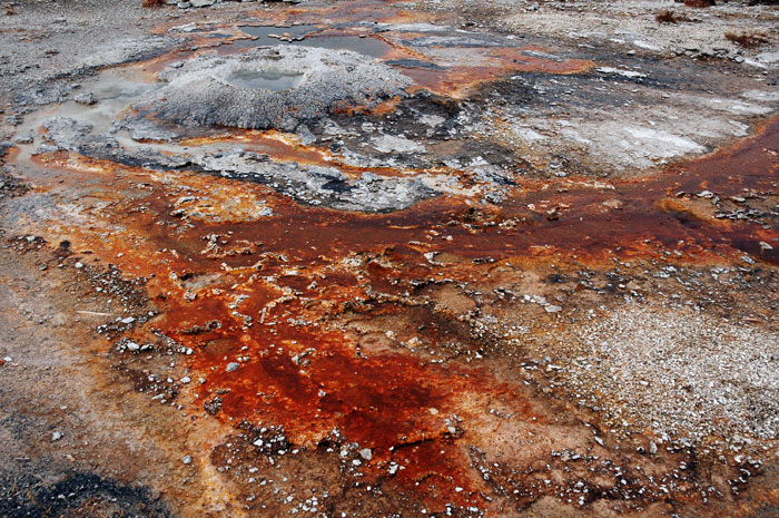 Yellowstone_NP_063