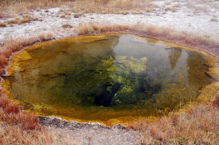 Yellowstone_NP_066