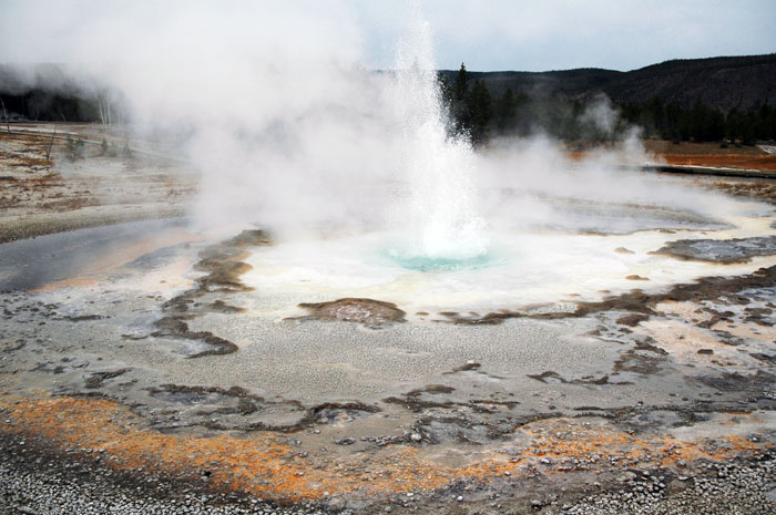 Yellowstone_NP_072