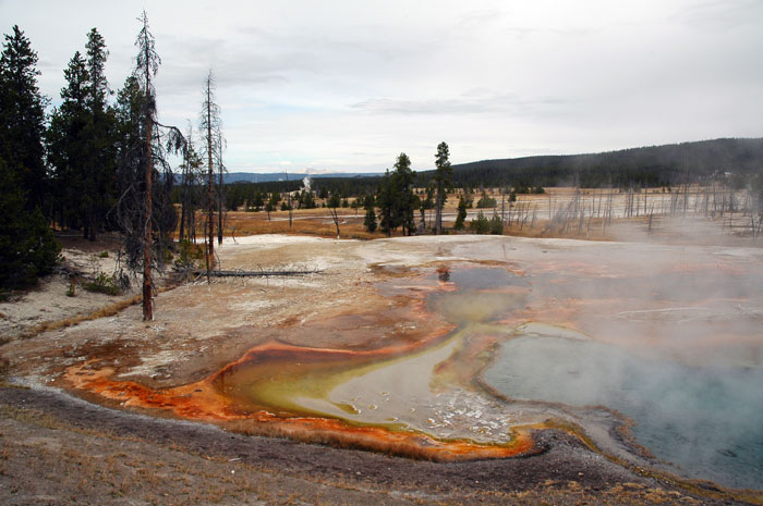 Yellowstone_NP_108