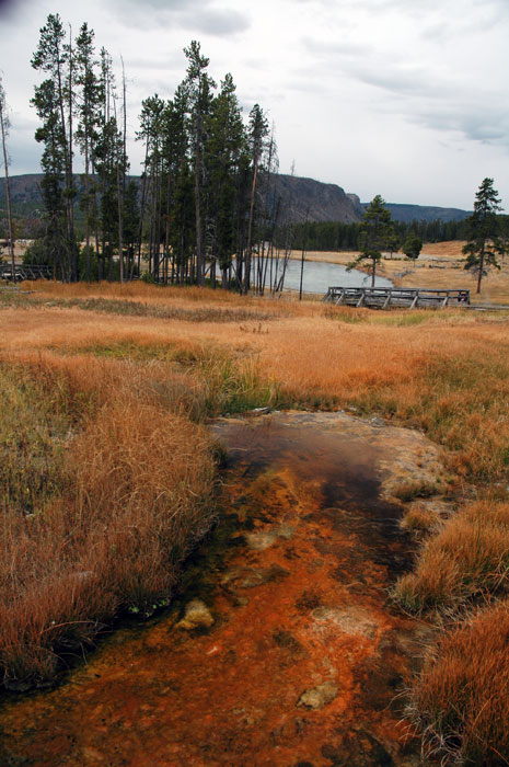 Yellowstone_NP_119