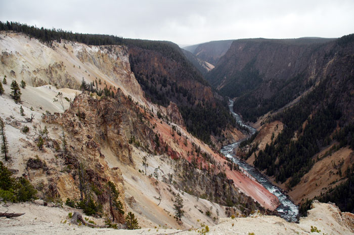 Yellowstone_NP_124