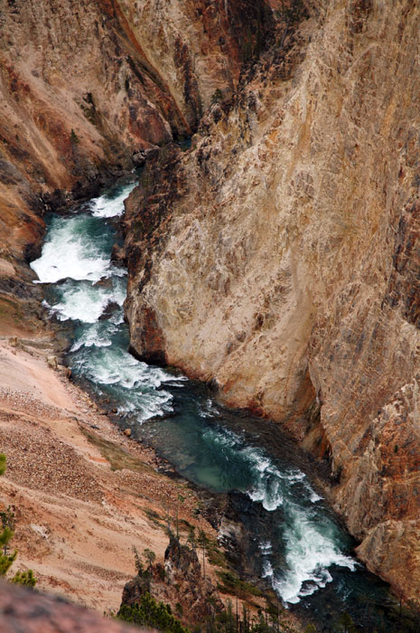 Yellowstone_NP_126