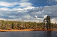 Yellowstone_NP_007