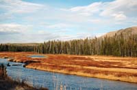 Yellowstone_NP_008