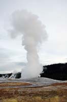 Yellowstone_NP_027