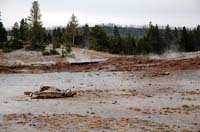 Yellowstone_NP_036