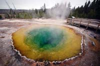 Yellowstone_NP_103