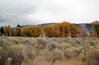 Yellowstone_NP_131